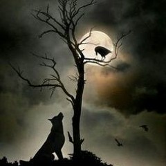 Crow & Wolf (Duet Rita van der Sluijs Featuring Snow Wolf)