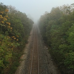 Justin Kelly - November 2015