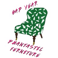Phantastic Ferniture - Gap Year