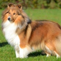 yimello [ogbobbyjhnsn]