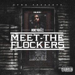 1. THE INTRO MEET THE FLOCKERS