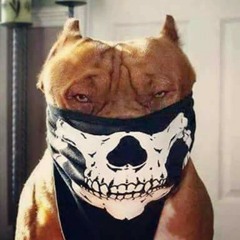 ms13 no aguantan precion.mp3