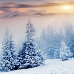 Direct - Carol Ft Alan Watts (Magnification Remix)