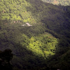 Happy Birthday|| November 12 ||