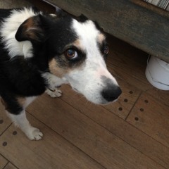 I Want to See Your Face