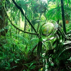 jungle