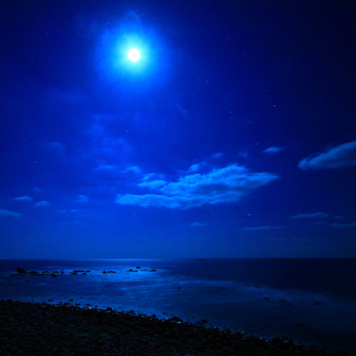 Moonlit Night Wanderer 月夜の放浪者 By Andy Hiroyuki Composer
