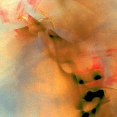 Heated Dust On A Sunlit Window