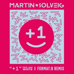 Martin Solveig - "+1" (feat. Sam White)(FormatB Remix)