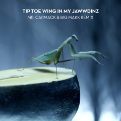 RiFF RAFF - TiP TOE WiNG IN MY JAWWDiNZ (Mr. Carmack And BIG MAKK Remix)