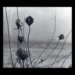 Recondite - Placid