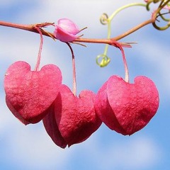 Vocal Deep House - Le Mond (Soul Button, Adana Twins, Claptone, NTFO, Karmon)