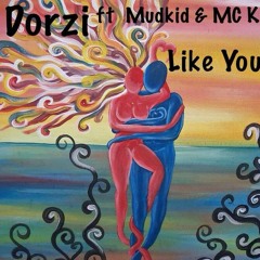 Like You  - Dorzi Ft Mudkid & MCK