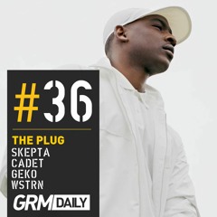 Plug #36