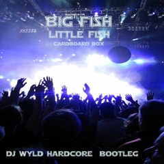 Big Fish Little Fish Cardboard Box - Dj wyld hardcore bootleg ** FREE DOWNLOAD**
