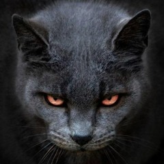 Gabrielle - Dreams (BASSCATS REMIX)