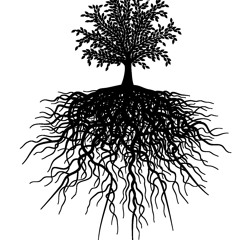 Frank Kvitta - Roots