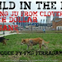 Wild In The D Ft. Insane & Yung JU ( Produced By - FMG FerraGamo }