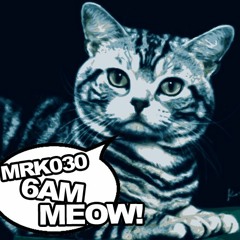 MR030 -  6am Meow