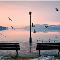 جمال مصباح - أنا قلبي مالو اليوم - Jamal Misbah