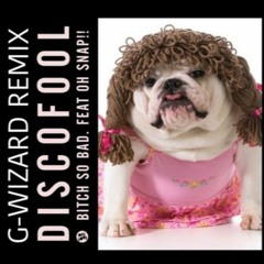 Discofool - Bitch So Bad (feat. Oh Snap!!) (G - Wizard Remix)