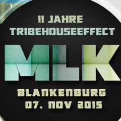 Miss MissGeSchick @ 11 Jahre Treibhouseeffect, MLK Blankenburg 07 - 11 - 2015