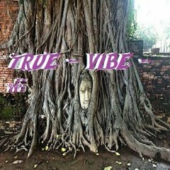 True - Vibe - ฟรี