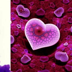 In Other Words I LOVE YOU- You Are Beautiful (Kdrama)