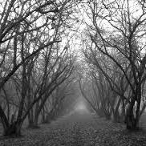 adelantooooooooooooooooooooooooo