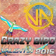 Crazy bird - DJ Valentin - 2015