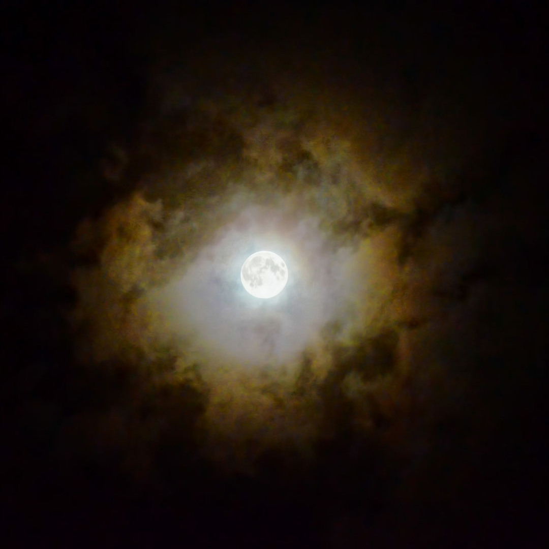 月夜の阿呆鳥　moon ムーン　sido story 月夜の阿呆鳥 : Moon : Side story