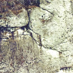 Carry Home - Mark Lanegan Cover (Live At BM) - November 1st