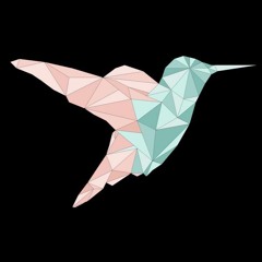 Hummingbird feat. TwinBrix - Sleepwalk