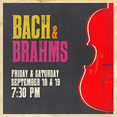 Concerto for Two Violins in D minor, BWV 1043 - J.S. Bach | II. Largo, Ma Non Tanto