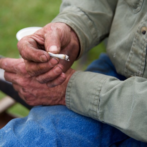 Stream Rock Salt And Nails by Guerin Bridge/Rudolph Listen online for