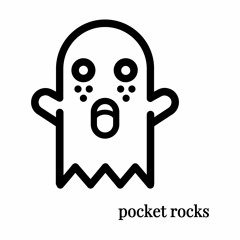 Pocket Rocks Guest Mix [DMVU]