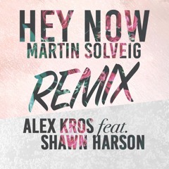 Hey Now - Martin Solveig (Alex Kros Feat. Shawn Harson Remix)