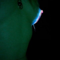 Timid