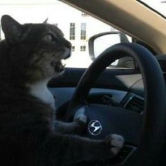 BITCH HURRY UP AND GIVE ME MY SACK FO I RUN YOU OVER WIT DIS HYUNDAI
