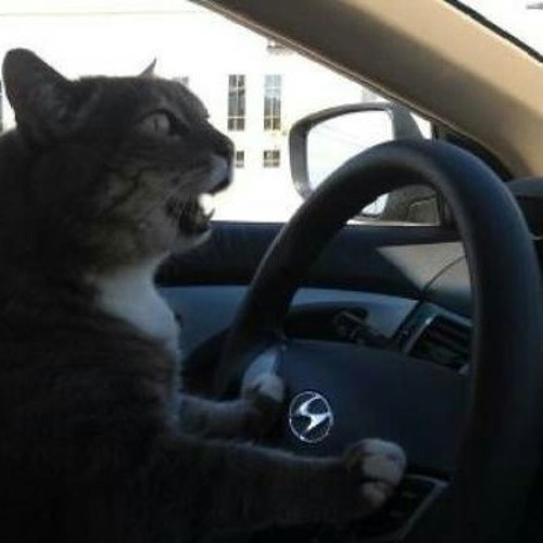 BITCH HURRY UP AND GIVE ME MY SACK FO I RUN YOU OVER WIT DIS HYUNDAI