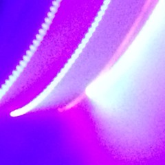 Squiiiirk! (WIP sketch)