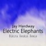 Electric Elephants