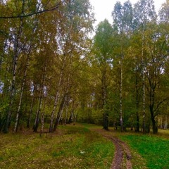Каким должно быть поведение в конфликтной ситуации?