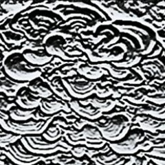 Oboskop - Botenstoff Messenger (excerpt) [2015]