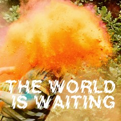 The Crookes - The World Is Waiting