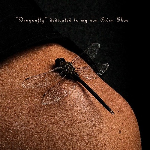 Dragonfly - 4 didgeridoo ( Airdrum style )