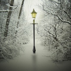 A Step Into Narnia