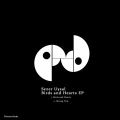 Sezer Uysal - Birds and Hearts (Original Mix)SC Prieview