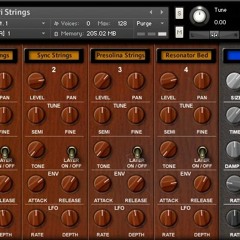 The String Collection - Demo II