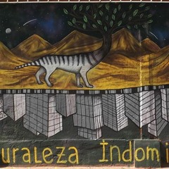 Naturaleza Indomita